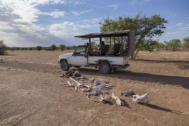 Hotel Hobatere Lodge Etosha National Park: Photo 