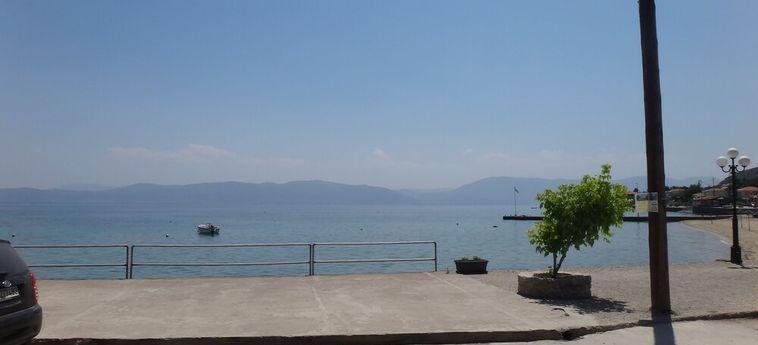 Despoina Hotel Euboa: Foto 