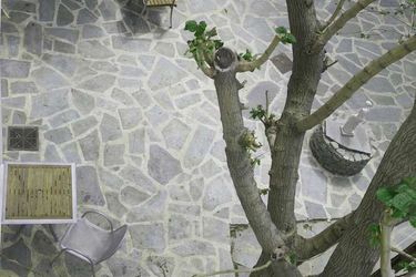 Gikas Apartments Euboea: Photo 