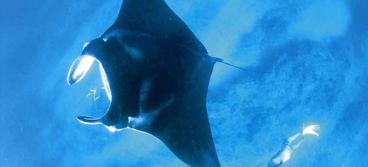 Hotel Sal Salis Ningaloo Reef Exmouth : Photo 