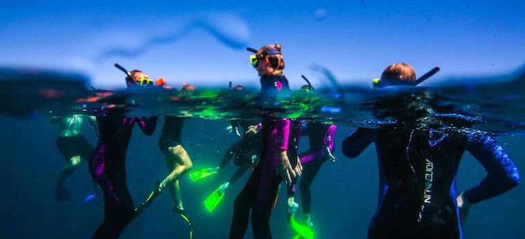 Hotel Sal Salis Ningaloo Reef Exmouth : Photo 