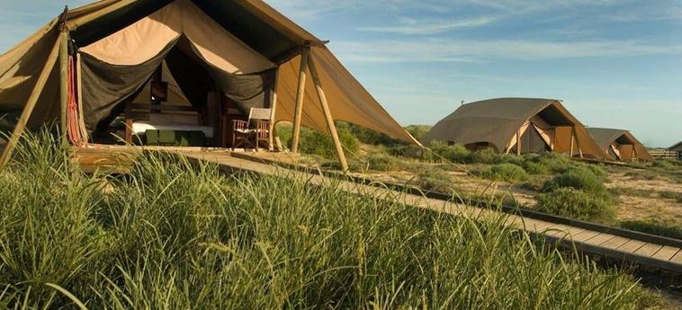 Hotel Sal Salis Ningaloo Reef Exmouth : Photo 