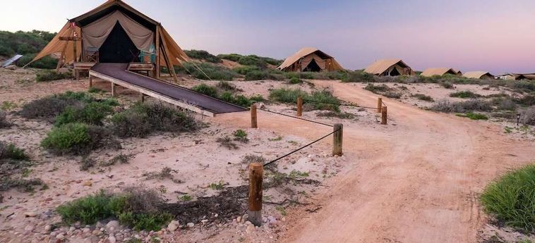 Hotel Sal Salis Ningaloo Reef Exmouth : Photo 