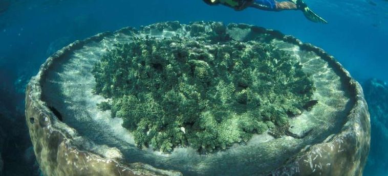 Hotel Sal Salis Ningaloo Reef:  EXMOUTH