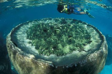 Hotel Sal Salis Ningaloo Reef Exmouth: Photo 