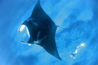 Hotel Sal Salis Ningaloo Reef Exmouth: Photo 