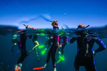 Hotel Sal Salis Ningaloo Reef Exmouth: Photo 