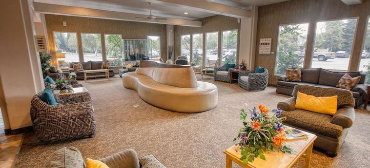 Hotel Bear Lodge Fairbanks (Ak): Foto 