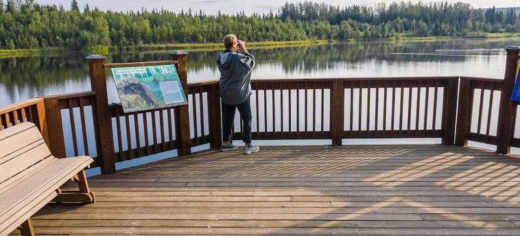 Hotel Bear Lodge Fairbanks (Ak): Foto 