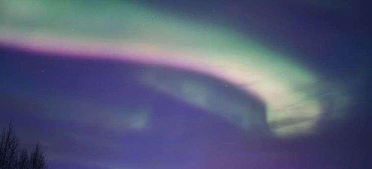 Hotel Bear Lodge Fairbanks (Ak): Foto 