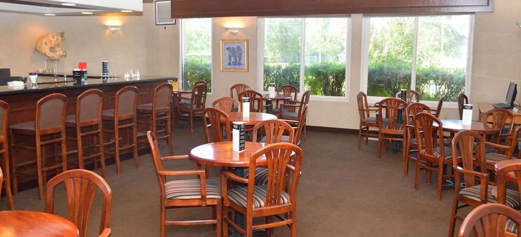 Hotel Bear Lodge Fairbanks (Ak): Foto 