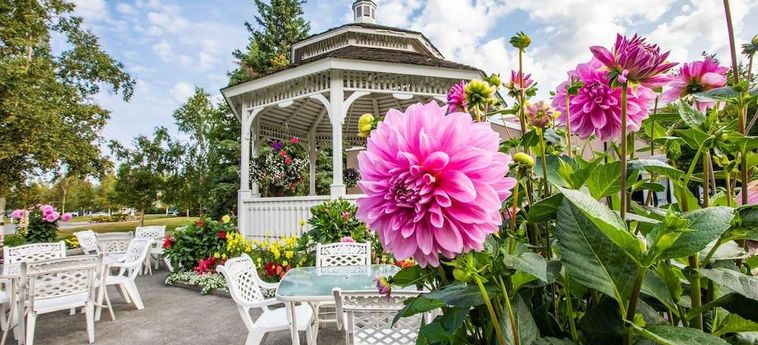 Hotel Bear Lodge Fairbanks (Ak): Foto 