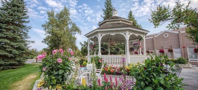 Hotel Bear Lodge Fairbanks (Ak): Foto 