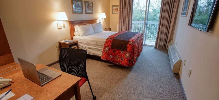 Hotel Bear Lodge Fairbanks (Ak): Foto 