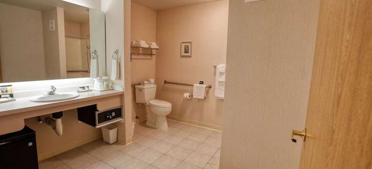 Hotel Bear Lodge Fairbanks (Ak): Foto 