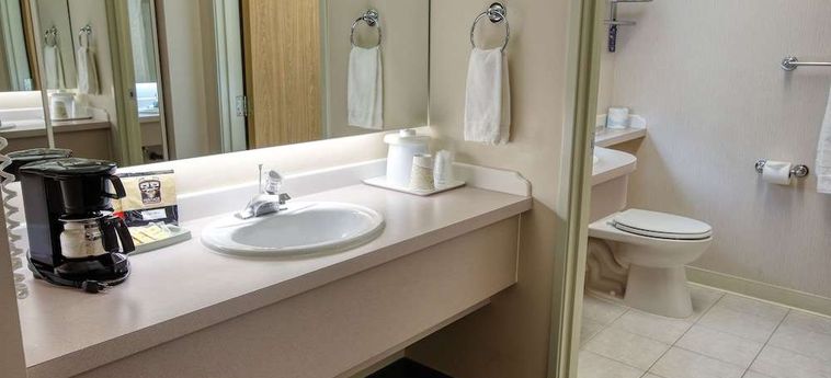Hotel Bear Lodge Fairbanks (Ak): Foto 