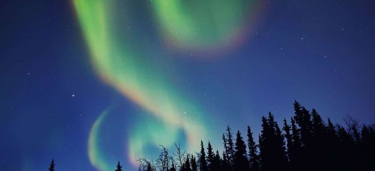 Hotel Bear Lodge Fairbanks (Ak): Foto 
