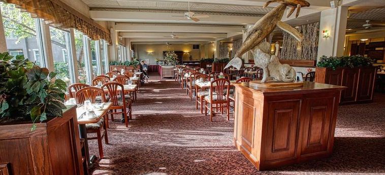 Hotel Bear Lodge Fairbanks (Ak): Foto 