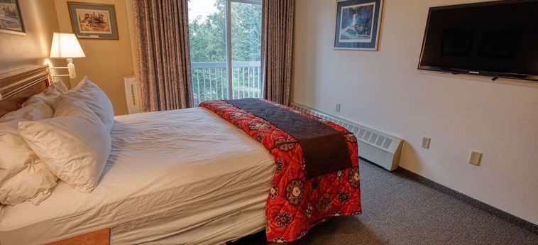 Hotel Bear Lodge Fairbanks (Ak): Photo 