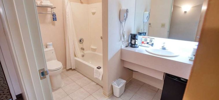 Hotel Bear Lodge Fairbanks (Ak): Photo 