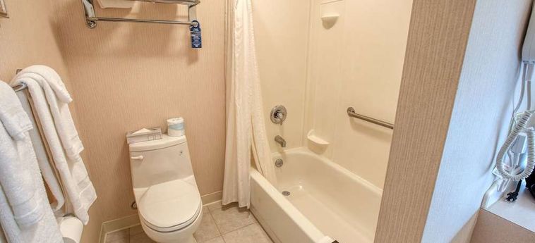 Hotel Bear Lodge Fairbanks (Ak): Photo 