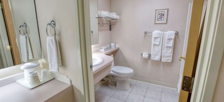 Hotel Bear Lodge Fairbanks (Ak): Photo 