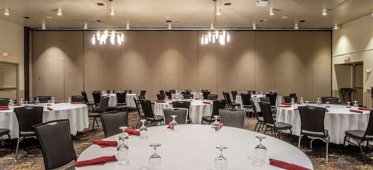 Westmark Fairbanks Hotel Conference Center Fairbanks (Ak): Foto 