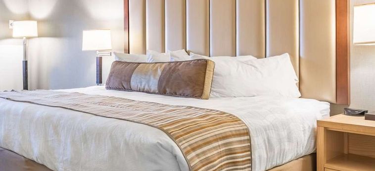Westmark Fairbanks Hotel Conference Center:  FAIRBANKS (AK)