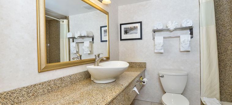 Hotel Comfort Inn Arlington Boulevard Falls Church (Va): Foto 