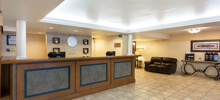 Hotel Comfort Inn Arlington Boulevard Falls Church (Va): Foto 
