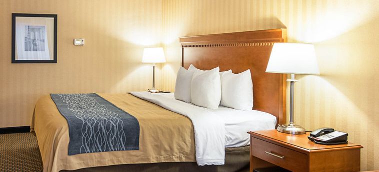 Hotel Comfort Inn Arlington Boulevard Falls Church (Va): Foto 