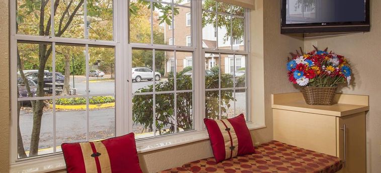 Hotel Sonesta Simply Suites Falls Church  Falls Church (Va) : Photo 