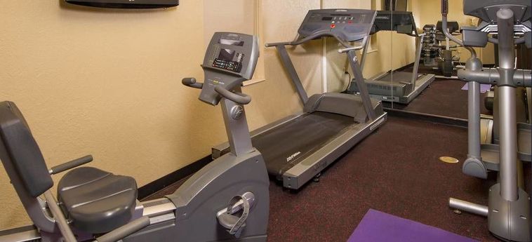 Hotel Sonesta Simply Suites Falls Church  Falls Church (Va) : Photo 