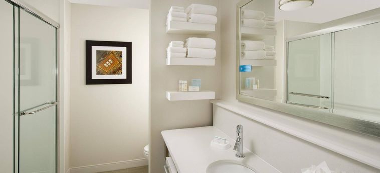 Hotel Hampton Inn And Suites Falls Church Falls Church (Va) : Photo 