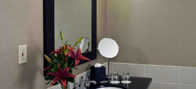 Hotel The Westin Tysons Corner:  FALLS CHURCH (VA)