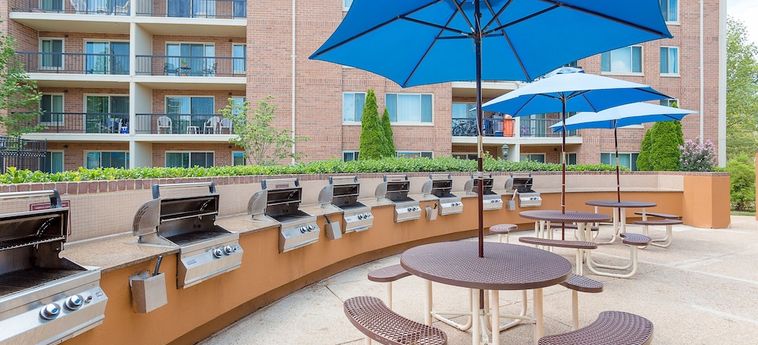 Hotel Oakwood Falls Church Falls Church (Va) : Photo 