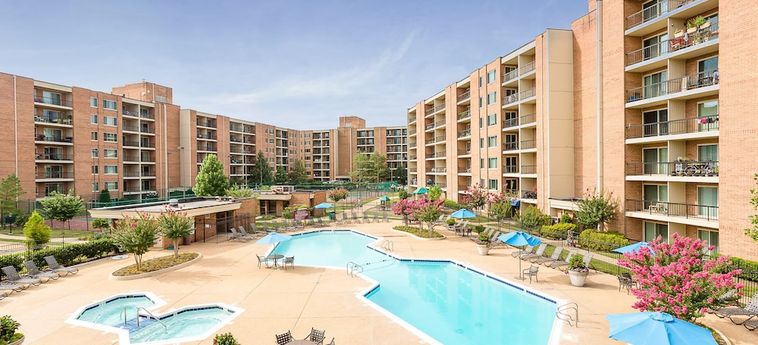Hotel Oakwood Falls Church Falls Church (Va) : Photo 
