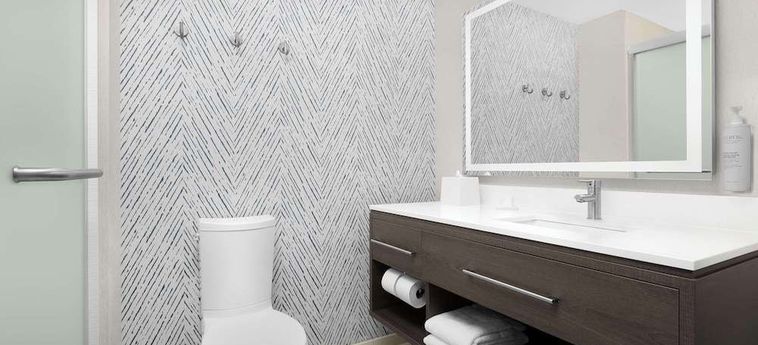 Hotel Home2 Suites By Hilton Falls Church Falls Church (Va) : Photo 