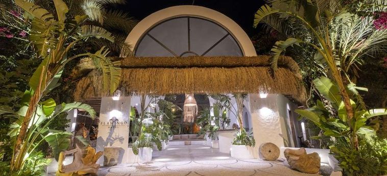 Hotel Flamingo Fethiye : Photo 