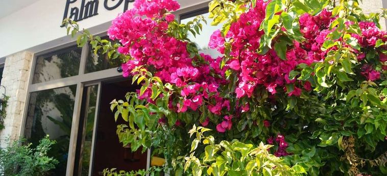 Hotel Flamingo Fethiye: Foto 