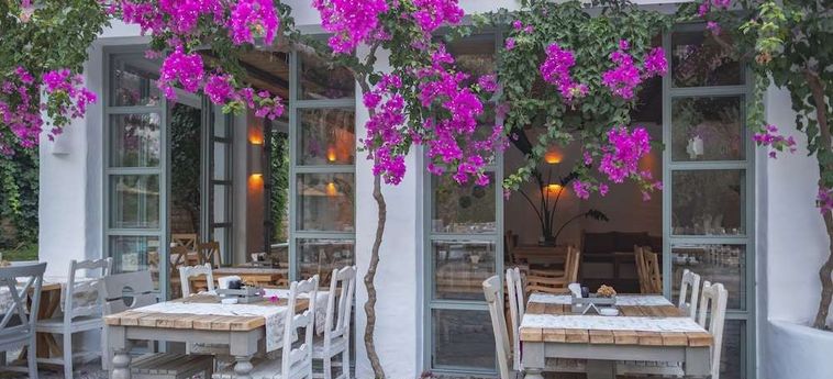 Hotel Flamingo Fethiye: Foto 