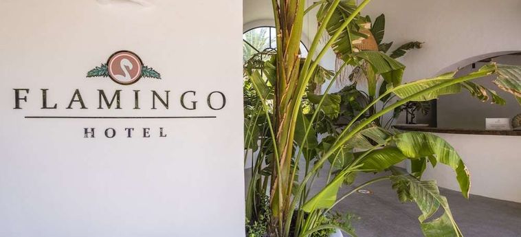 Hotel Flamingo Fethiye: Foto 