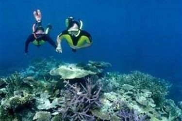 Hotel Nukubati Private Island Great Sea Reef:  FIJI ISLAND
