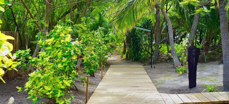 Hotel Serenity Island Resort Fiji Island: Foto 