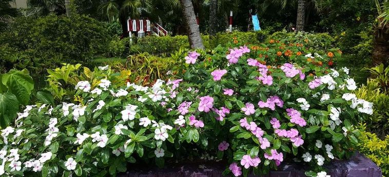 Hotel Grand West's Villas Fiji Island : Photo 
