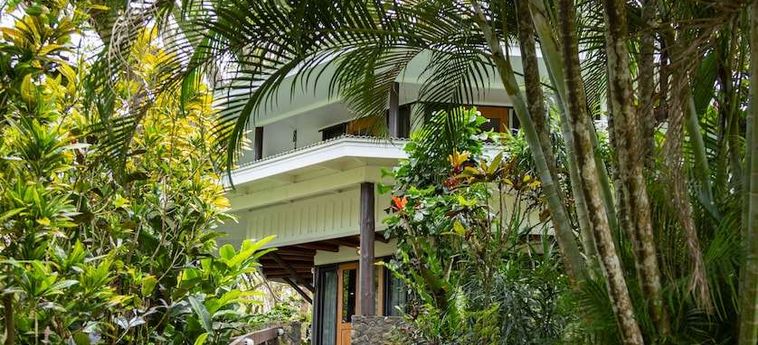 Hotel Koro Sun Resort &Amp; Rainforest Spa Fiji Island: Foto 