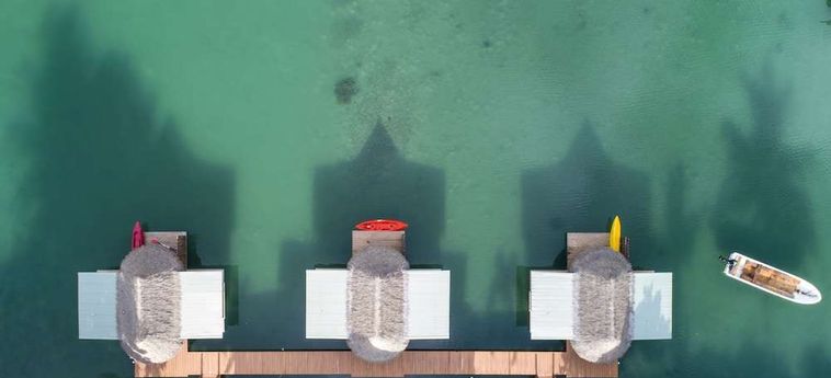 Hotel Koro Sun Resort &Amp; Rainforest Spa Fiji Island: Foto 