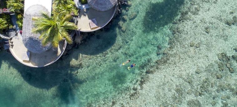 Hotel Koro Sun Resort &Amp; Rainforest Spa Fiji Island: Foto 