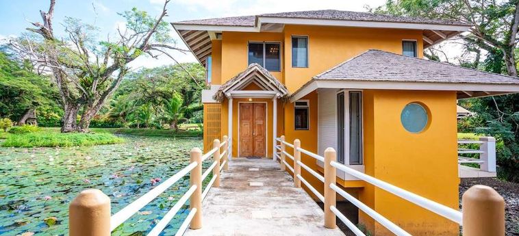 Hotel Koro Sun Resort &Amp; Rainforest Spa Fiji Island: Foto 