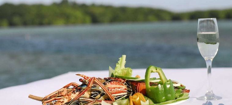 Hotel Koro Sun Resort &Amp; Rainforest Spa Fiji Island: Foto 